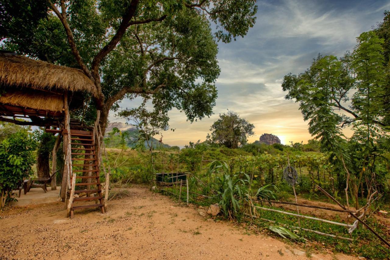 Sigiriya King'S Resort Exteriör bild