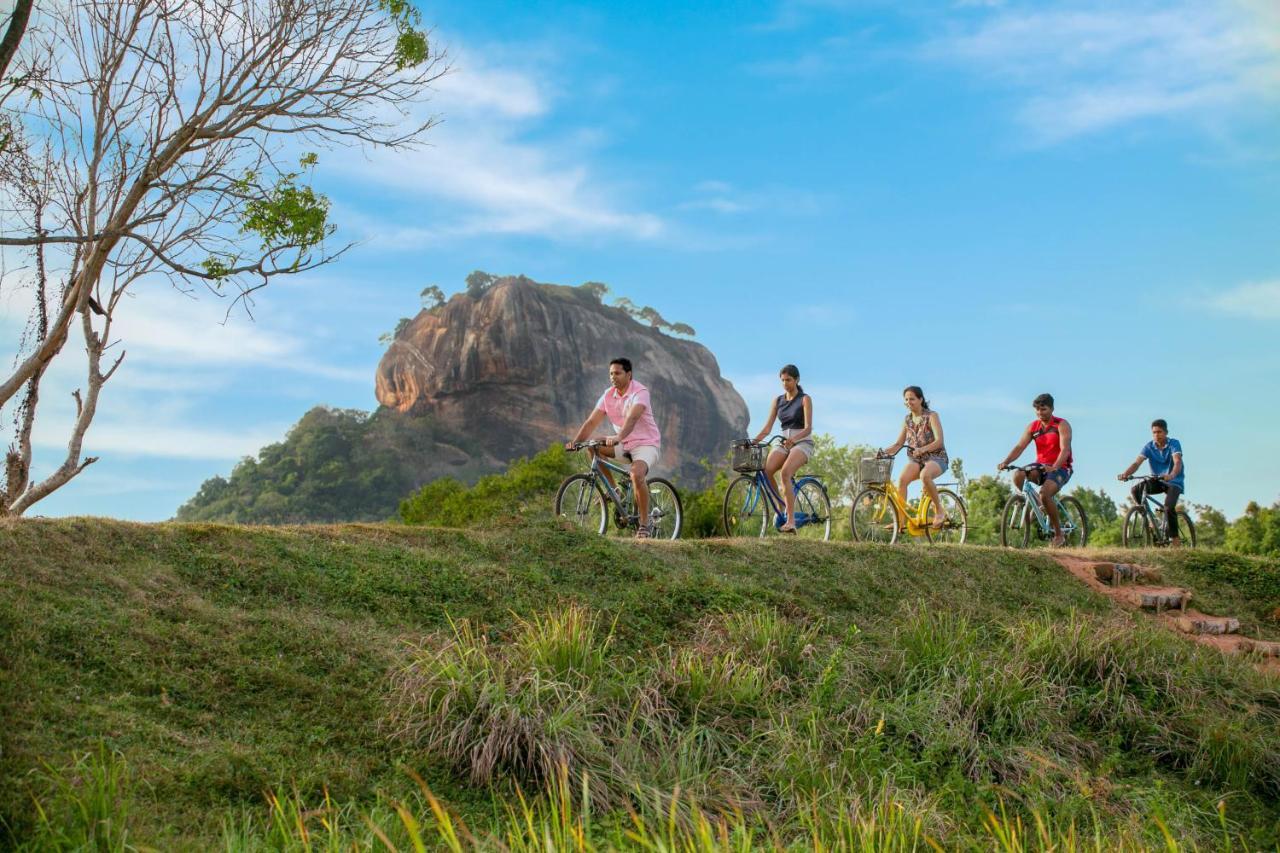 Sigiriya King'S Resort Exteriör bild