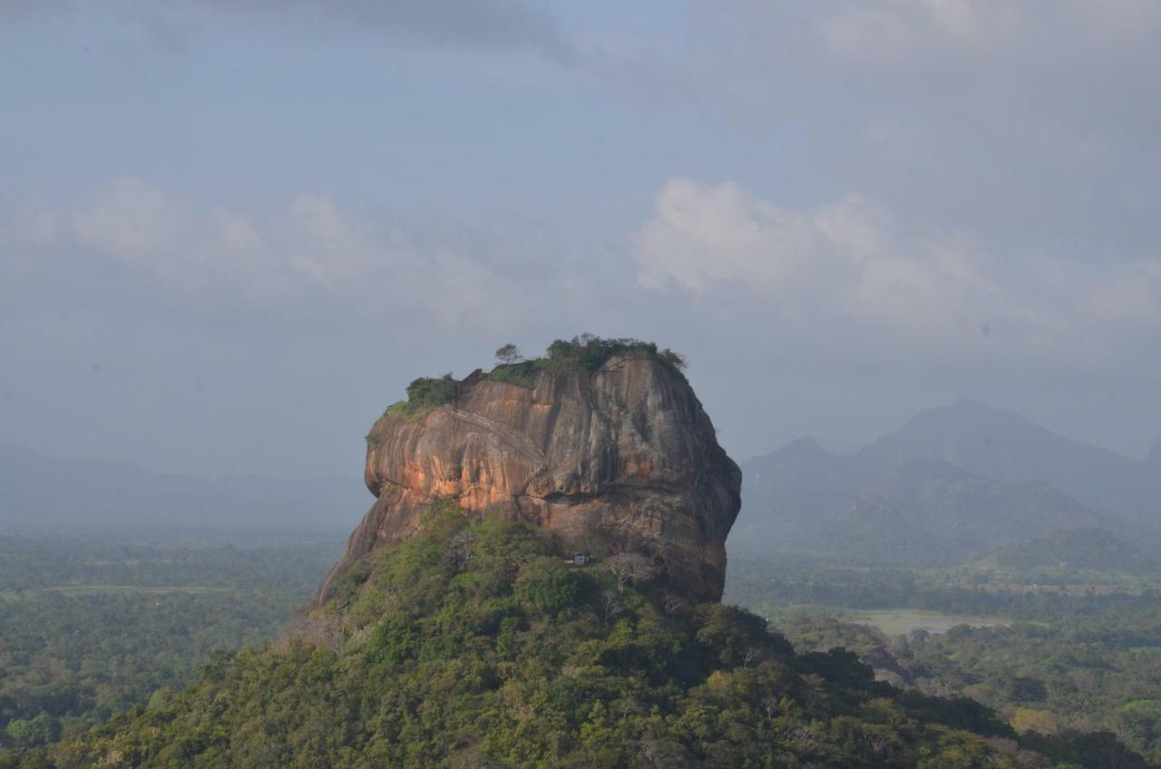 Sigiriya King'S Resort Exteriör bild