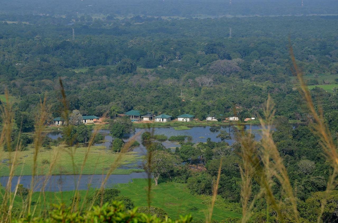 Sigiriya King'S Resort Exteriör bild