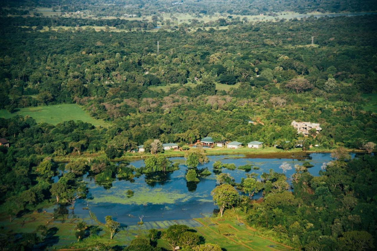 Sigiriya King'S Resort Exteriör bild