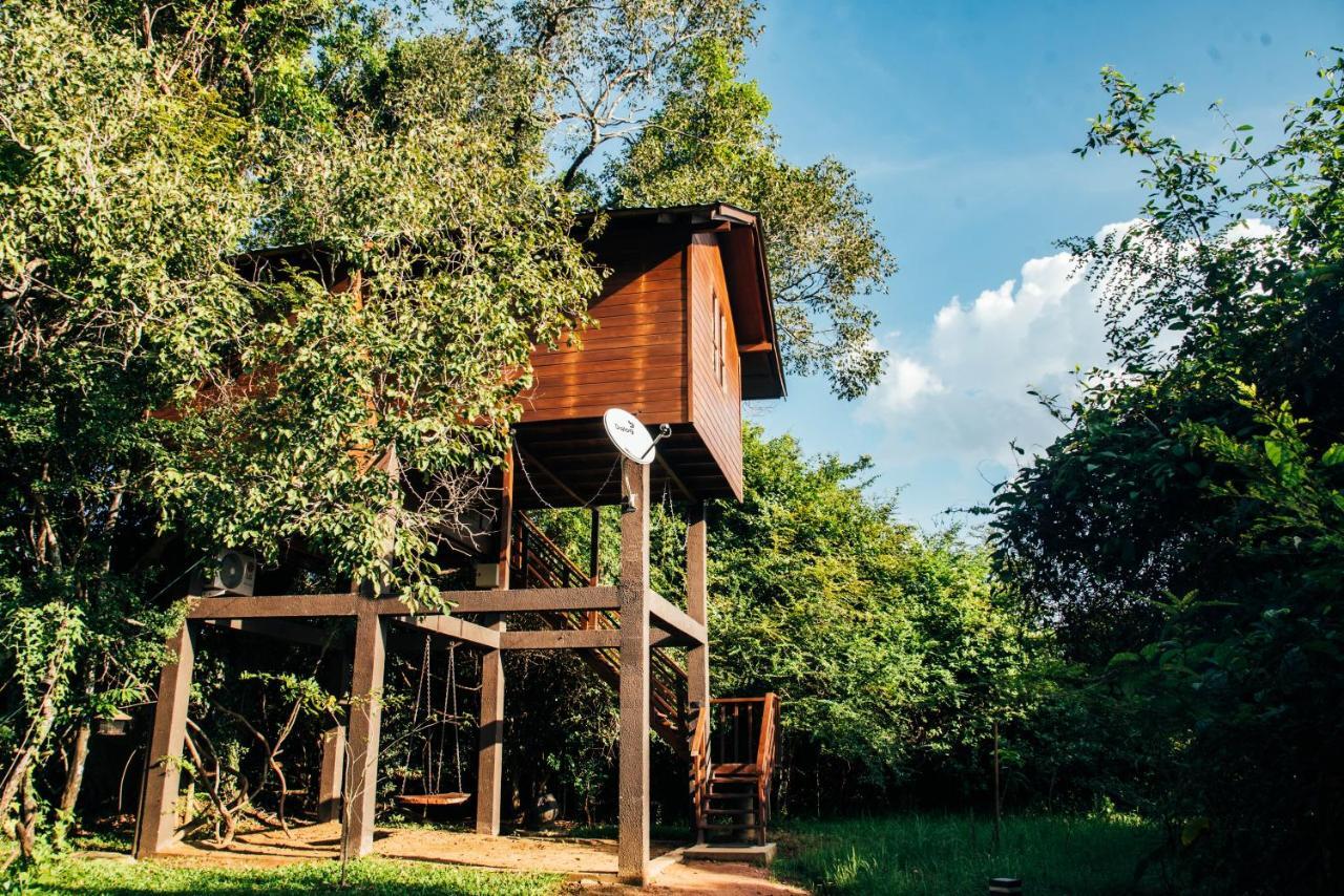Sigiriya King'S Resort Exteriör bild