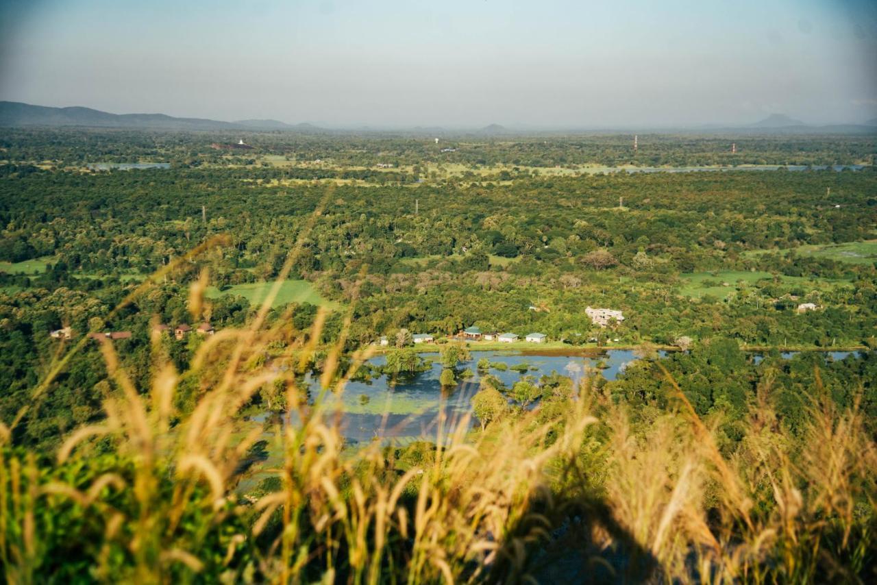 Sigiriya King'S Resort Exteriör bild